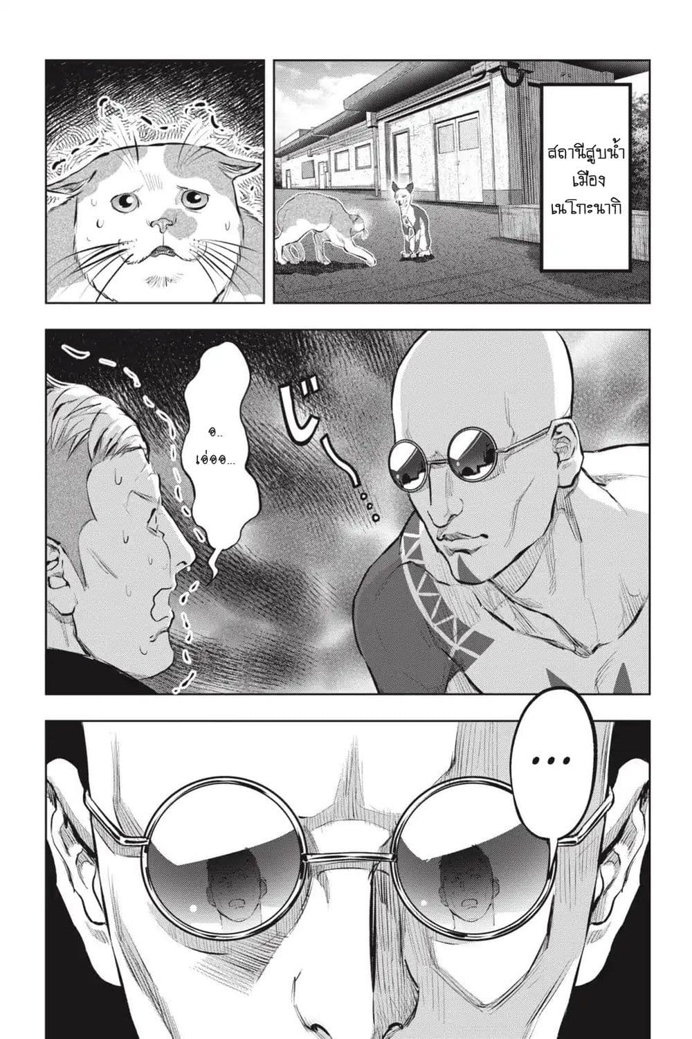 Nyankees 12-พร้อยลุย!