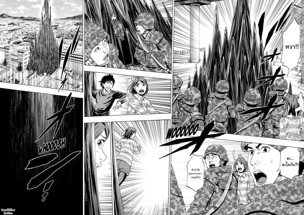 Arata Primal 1-1