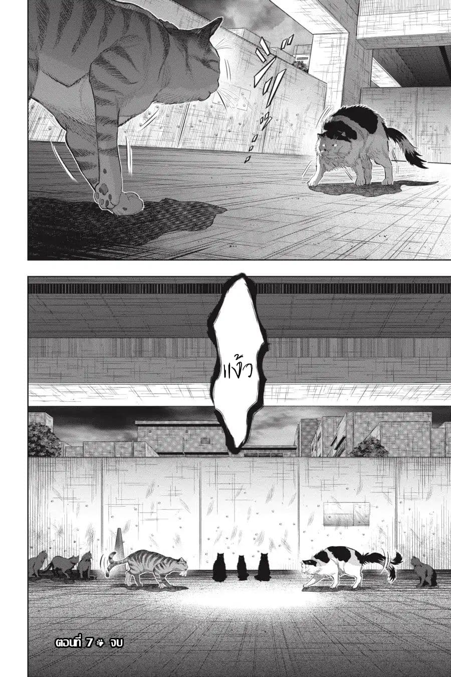 Nyankees 7-หญิงแกร่ง