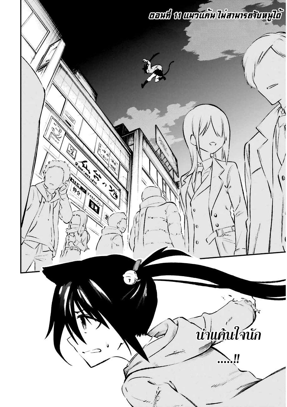 Urami Koi, Koi, Urami Koi 11-แมวแค้นไม่สามารถจับหนูได้