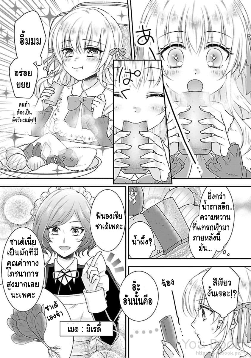 Fake Cinderella 2-2