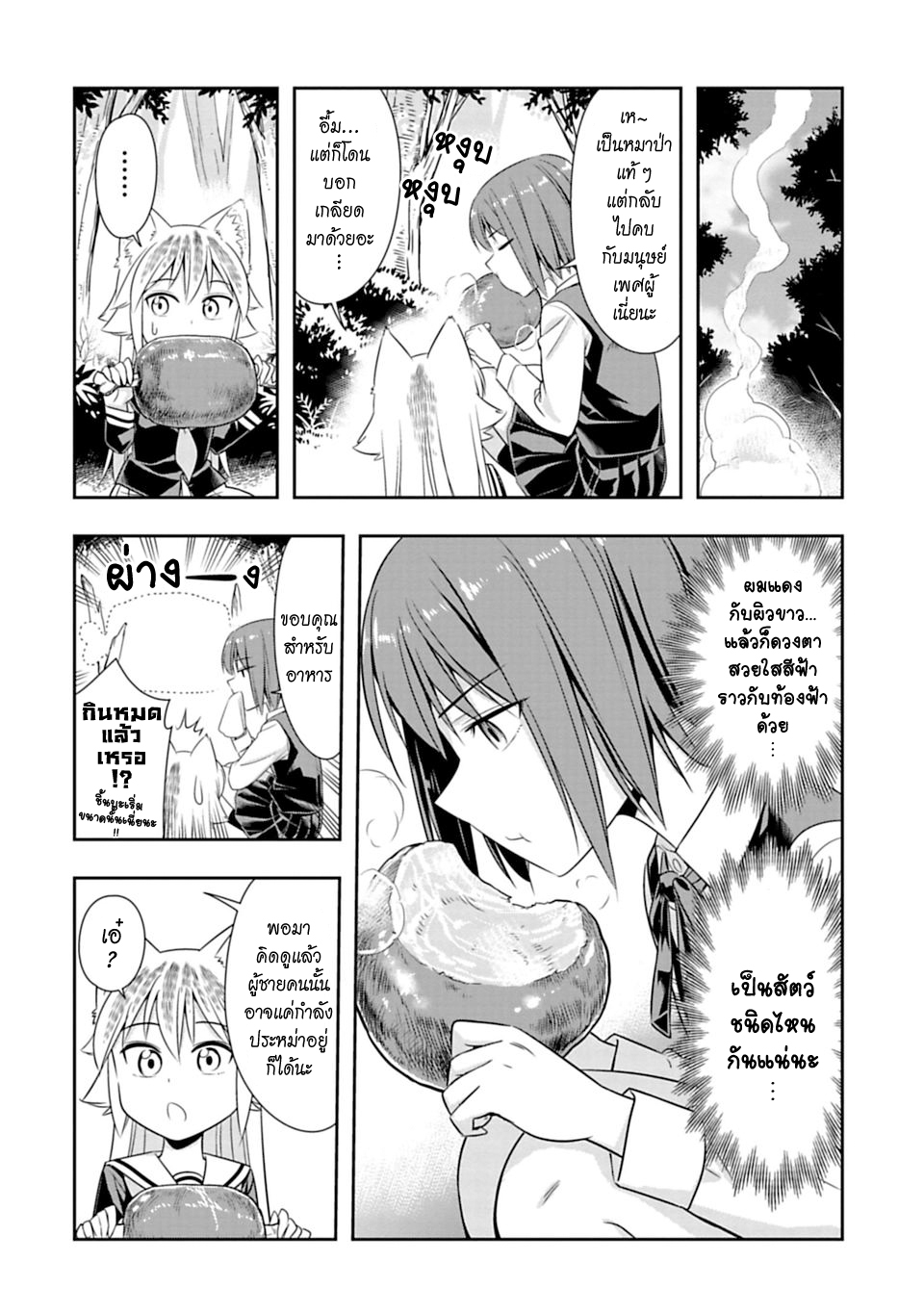 Murenase! Shiiton Gakuen 45-ฤดูผสมพันธุ์ของหมาป่า ภาคจบ