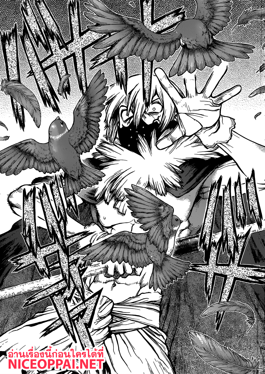 Dr.Stone 80-คู่หูที่แข็งแกร่งที่สุดของมนุษยชาติ