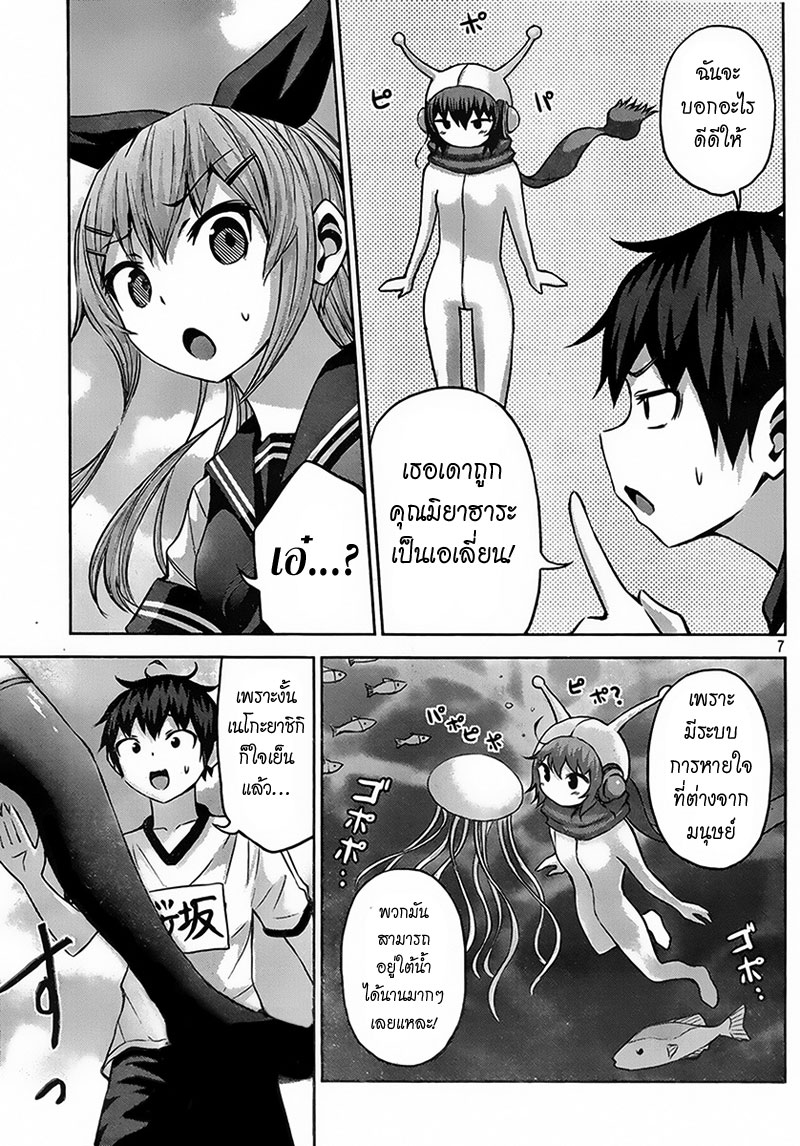 Chikotan, Kowareru 6-บอกสิโอซากะ! จิโกะที่ไม่ตาย กับเนโกะยาชิกิที่ตายเหมือนคนอื่นๆ