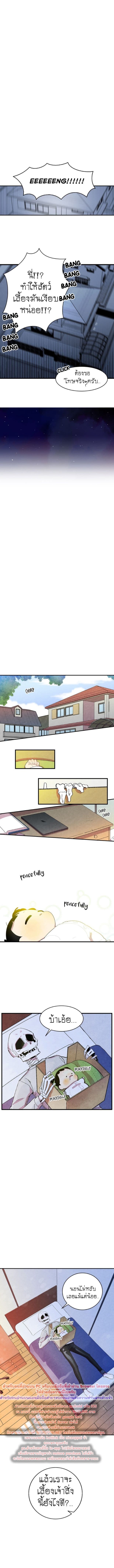 Metamorphosis 3-3