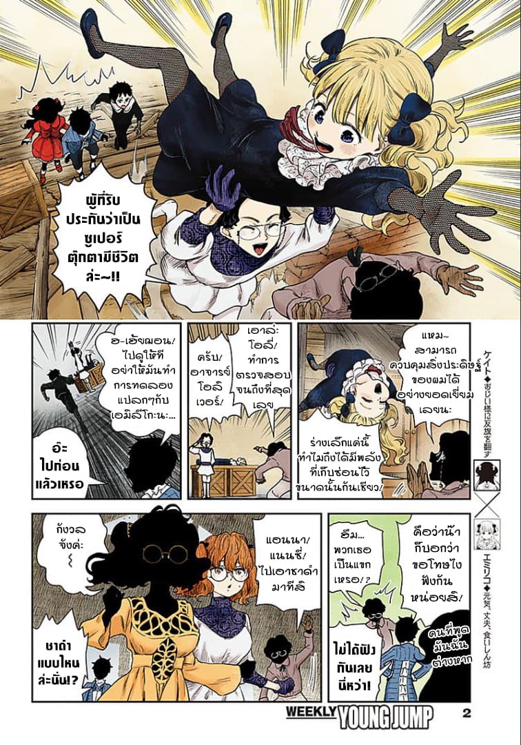 Shadows House 60-กลุ่มวิจัย