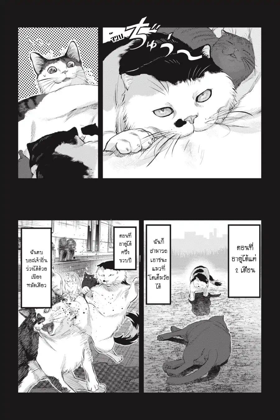 Nyankees 7-หญิงแกร่ง