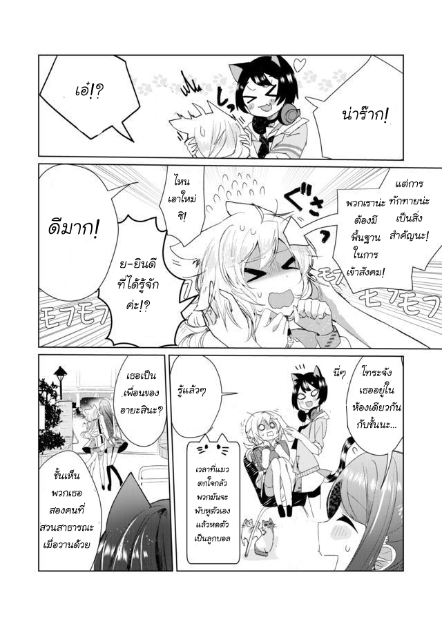 Nekomusume Shoukougun 6-6