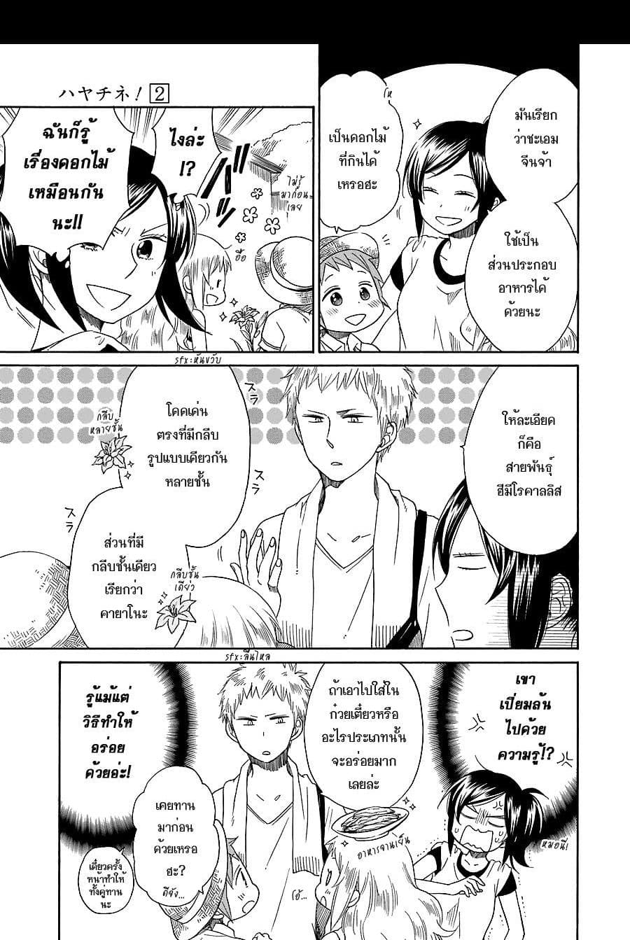 Hayachine! 8-พี่สาวคนโต