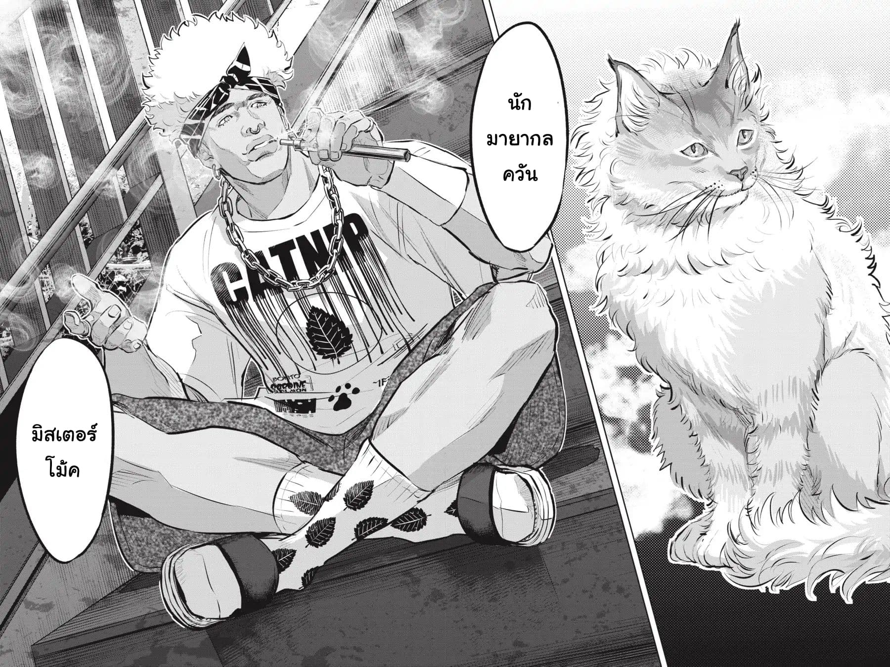 Nyankees 11-แมวน่าสงสัย