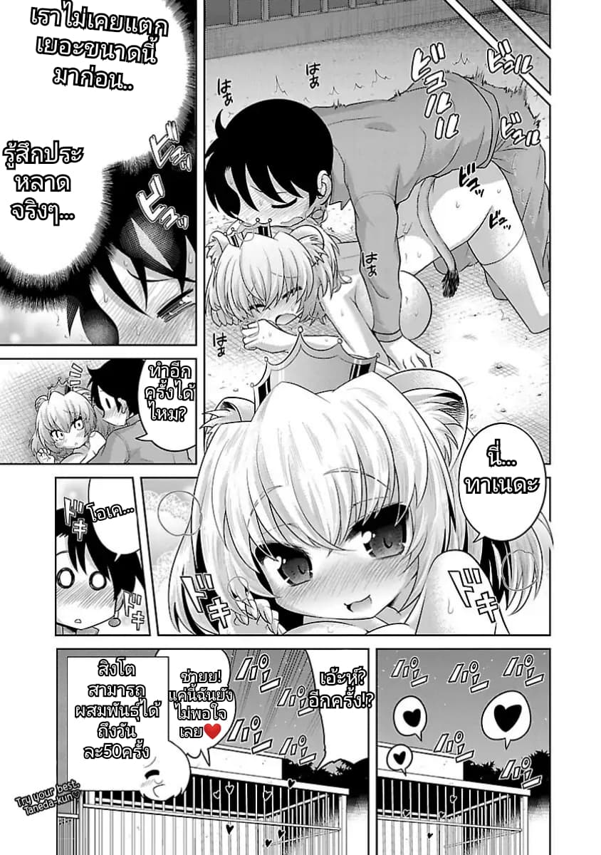 Kemokko Dobutsuen! 1-1