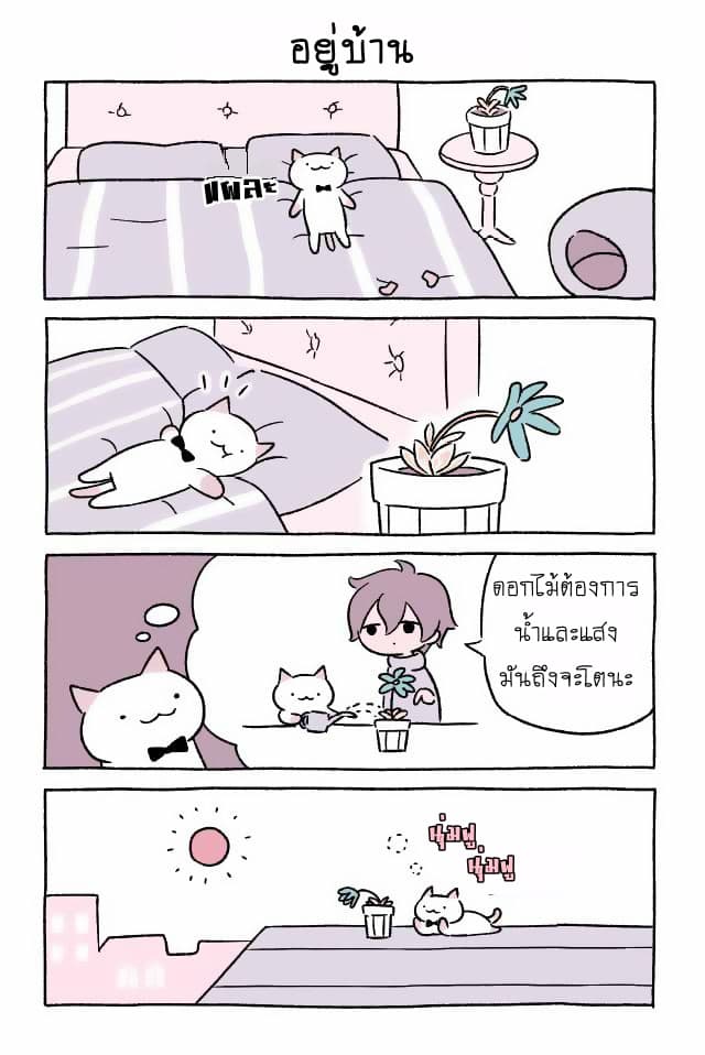 Wonder Cat Kyuu-chan คิวจัง แมวมหัศจรรย์ 3-3