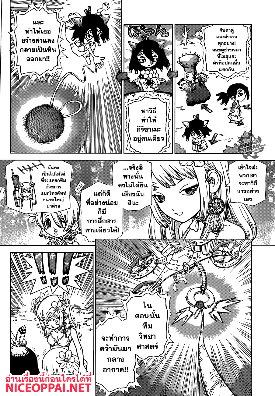 Dr.Stone 112-3-D แชมเปี้ยน