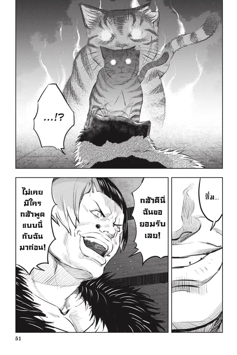 Nyankees 8-วิถีชีวิตของแมว