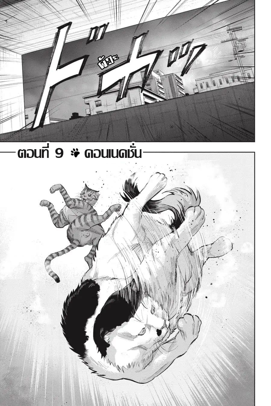 Nyankees 9-คอนเนคชั่น