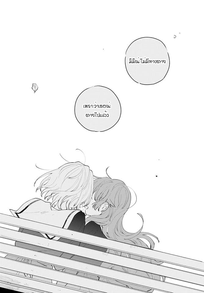 My Wish is to Fall In Love Until You Die 6-6