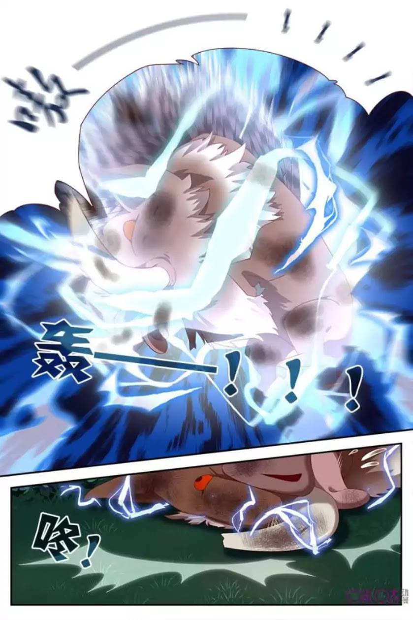 Martial God's Space 8-8