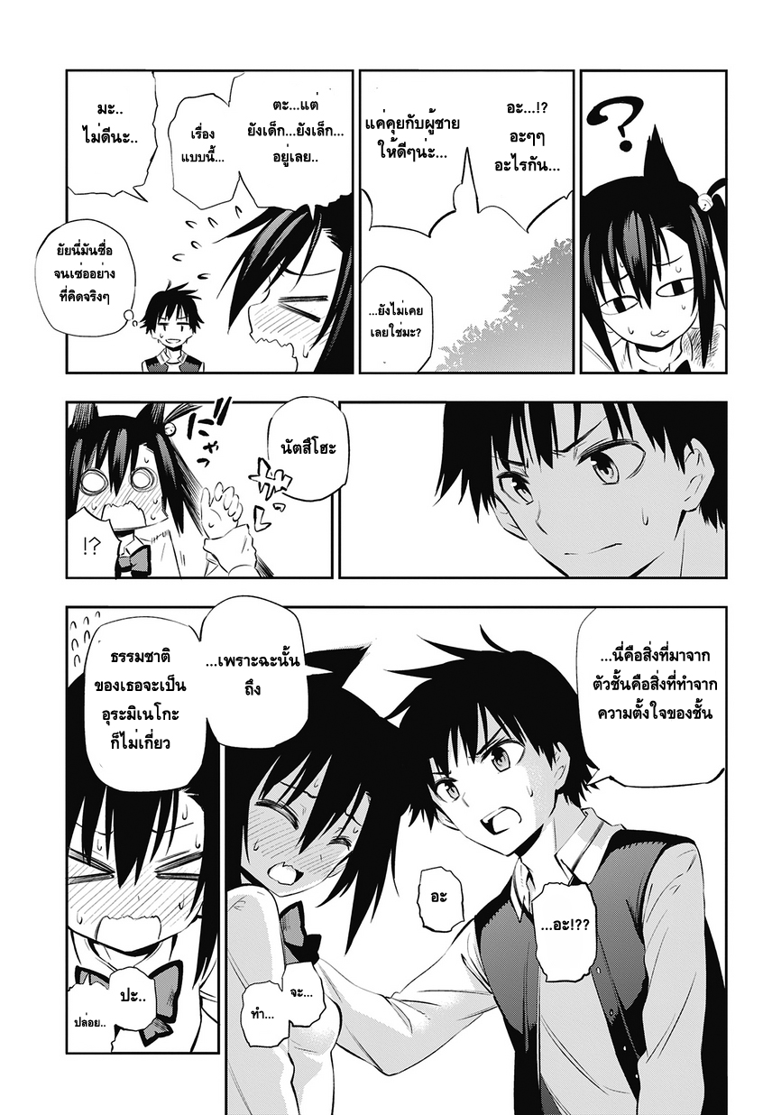 Urami Koi, Koi, Urami Koi 1-แมวทุกข์ระทม
