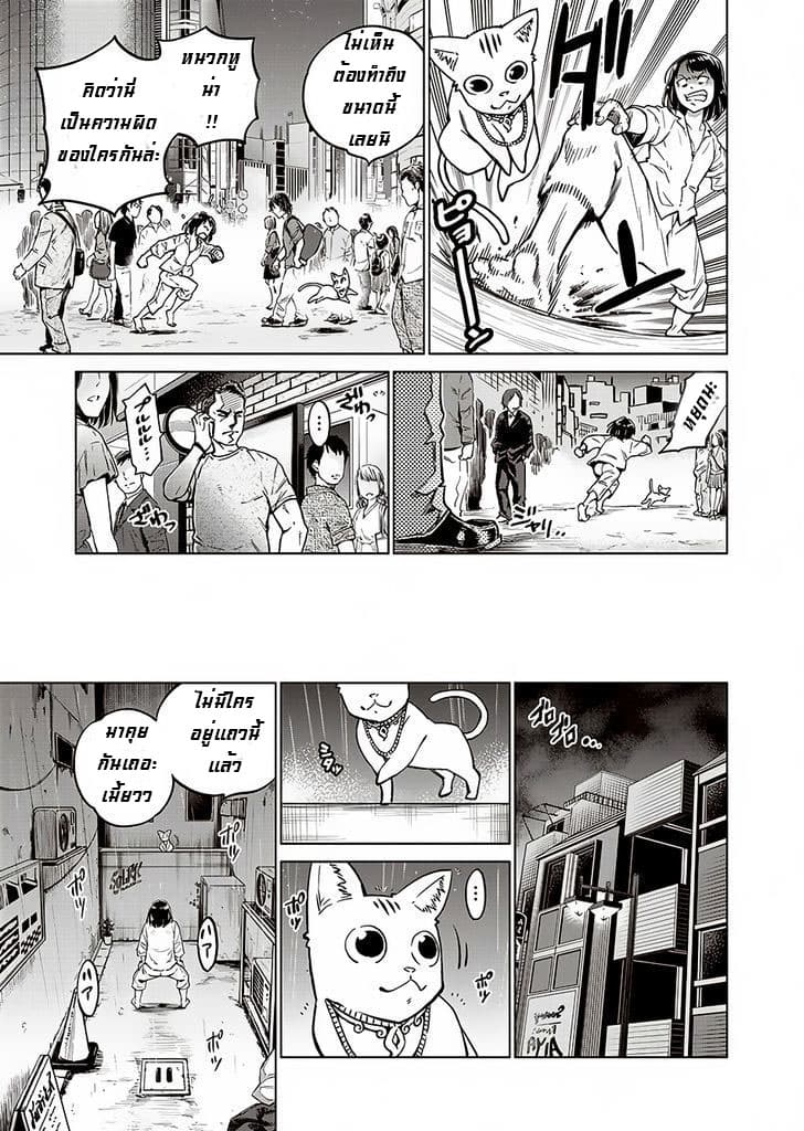 Dolkara 1-1
