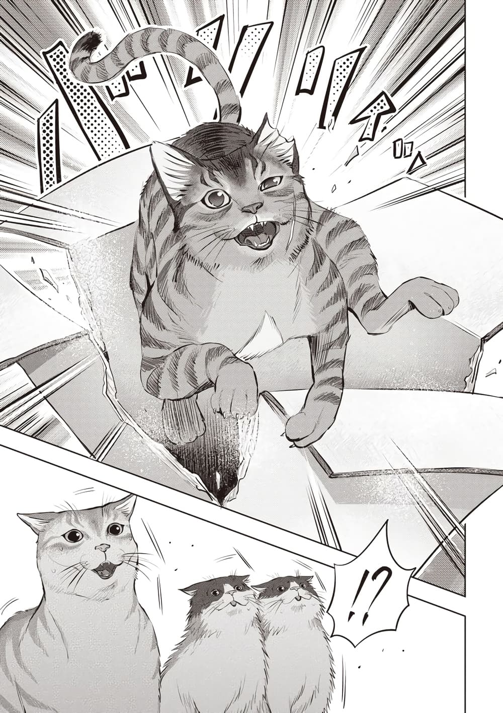 Nyankees 3-แก๊งหางแมวผี