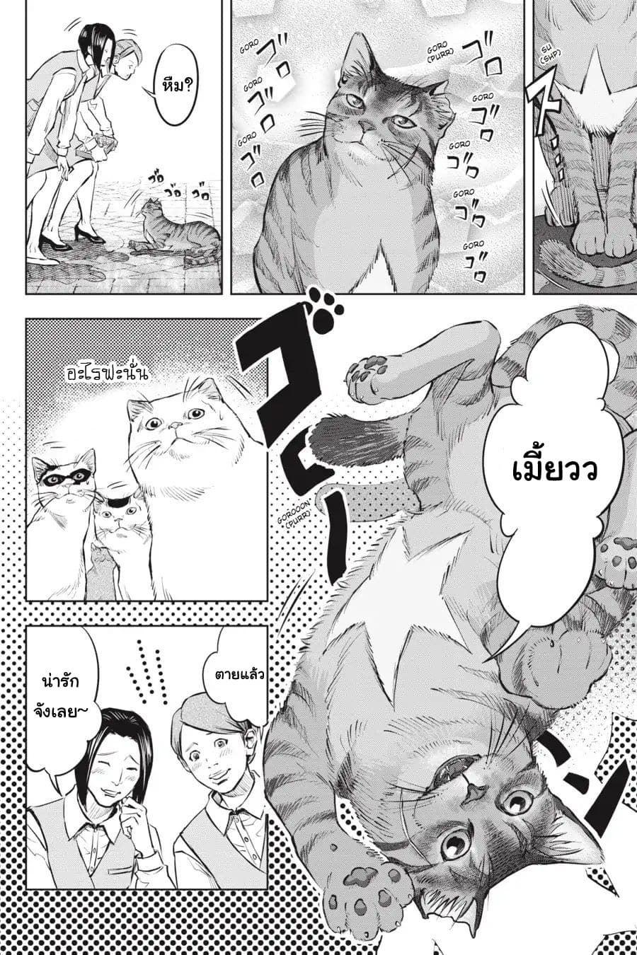 Nyankees 1-ชื่อของเขาคือ...