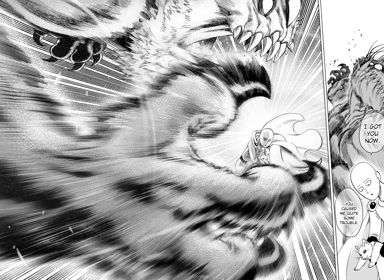 One Punch Man 44.5-ตอนพิเศษ
