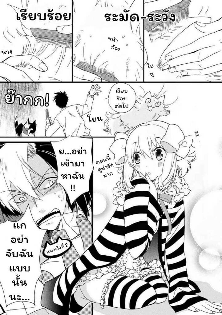 Junkissa Neko 2-2