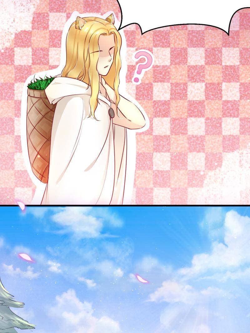 Beauty and the Beasts 7-7
