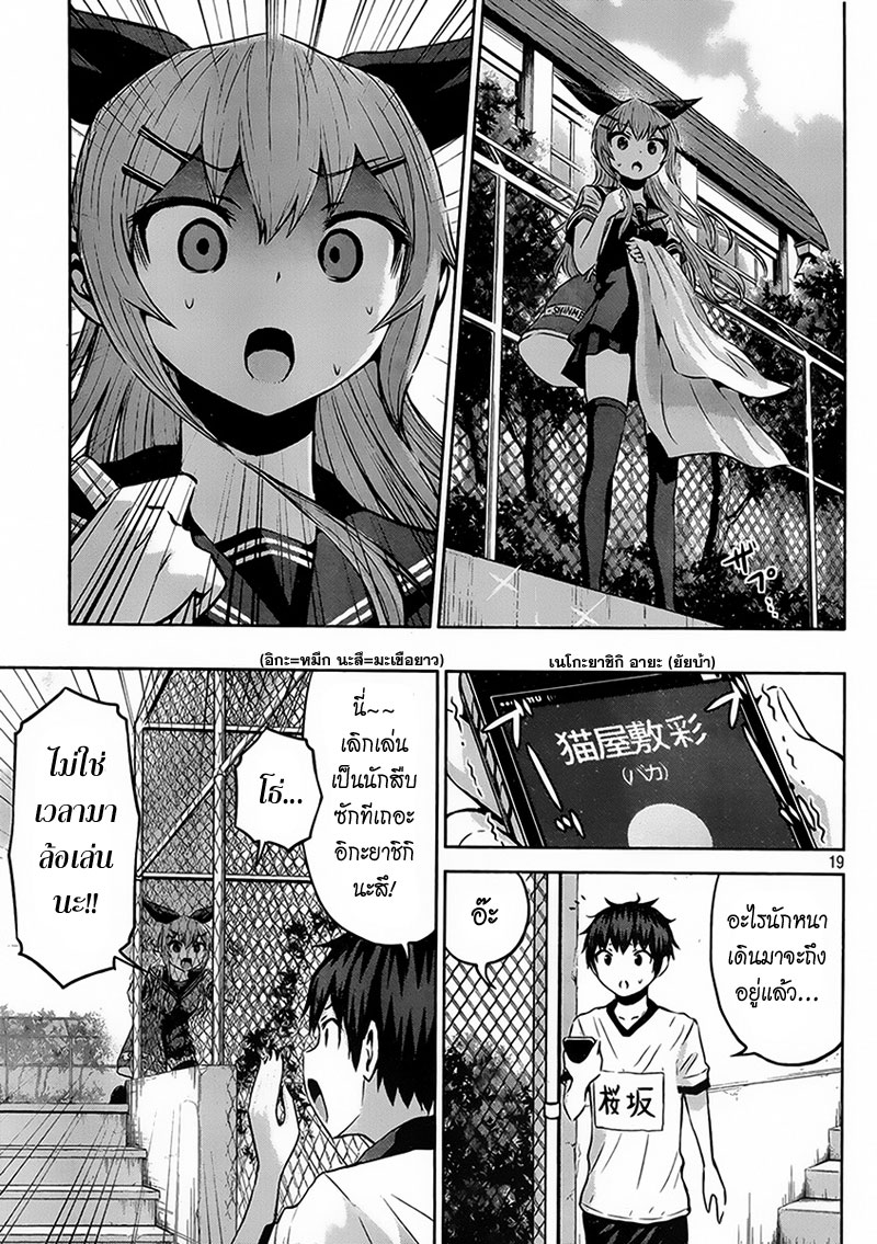 Chikotan, Kowareru 5-รู้ผลแล้วหรือ!? สระว่ายน้ำล่ะ ชุดว่ายน้ำล่ะ มิตรภาพล่ะ