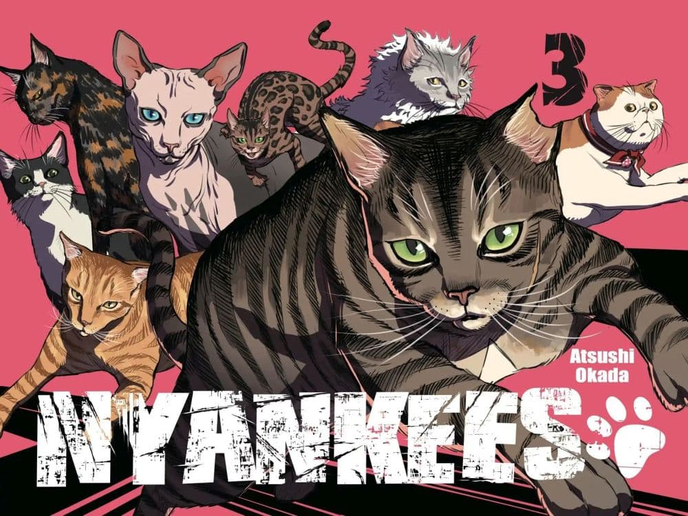 Nyankees 12-พร้อยลุย!