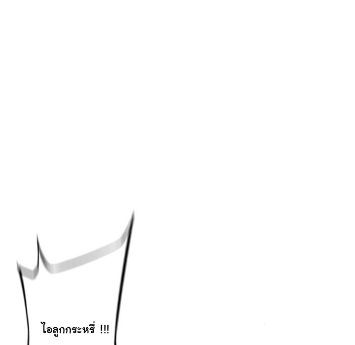 SuperNova 40-40