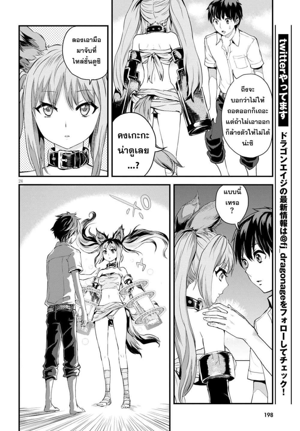 Alcafus 2-ดูแล