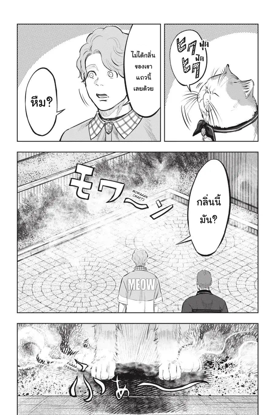 Nyankees 13-อ้วกก้อนขน