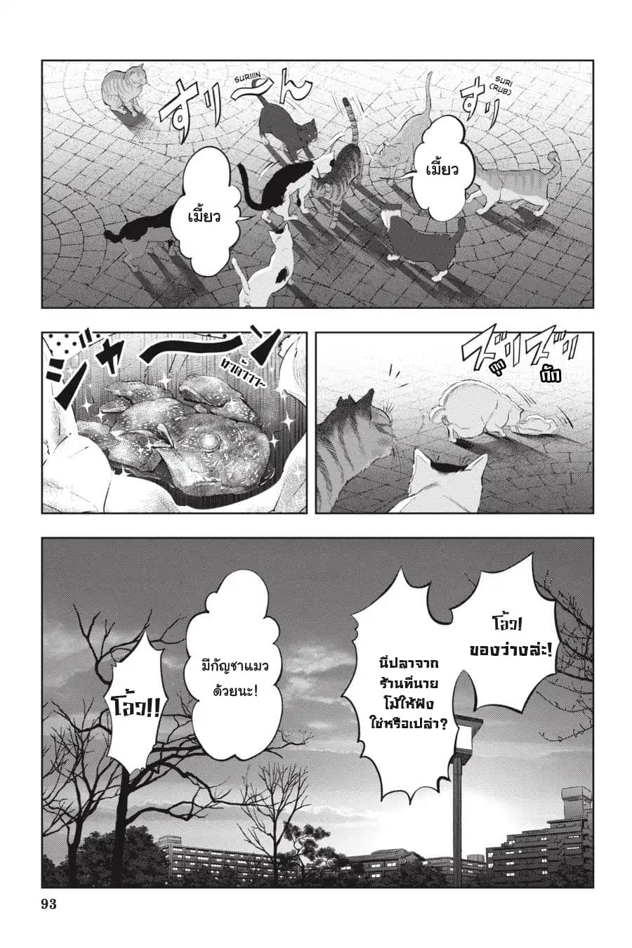 Nyankees 9-คอนเนคชั่น
