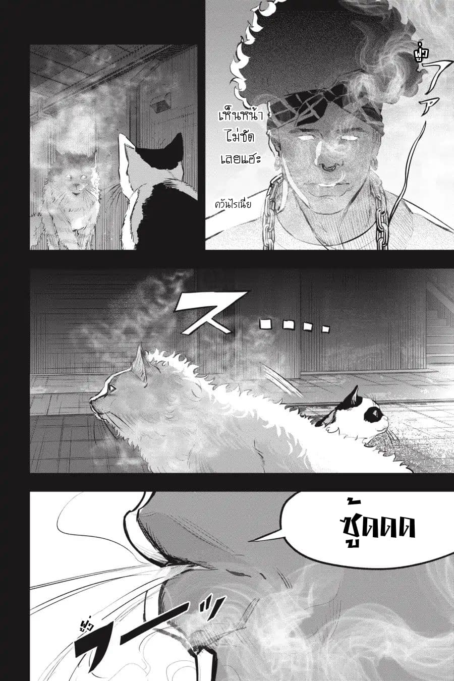 Nyankees 11-แมวน่าสงสัย