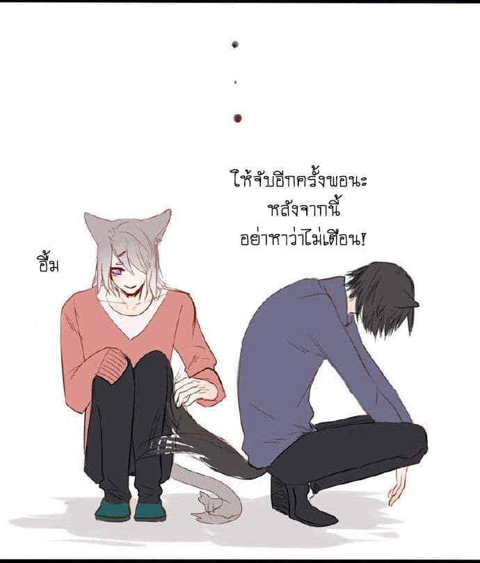 Mao Xian Sheng He Gou Gou คูมเหมียวกับหมาน่อย 1-หาง