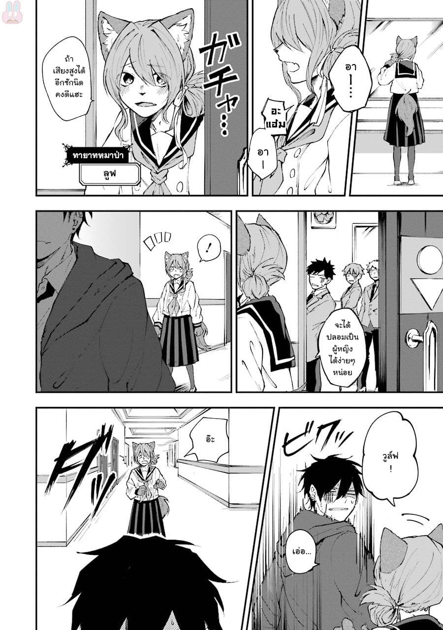 Otogi no Mago 3-มิตรภาพลูกผู้ชาย