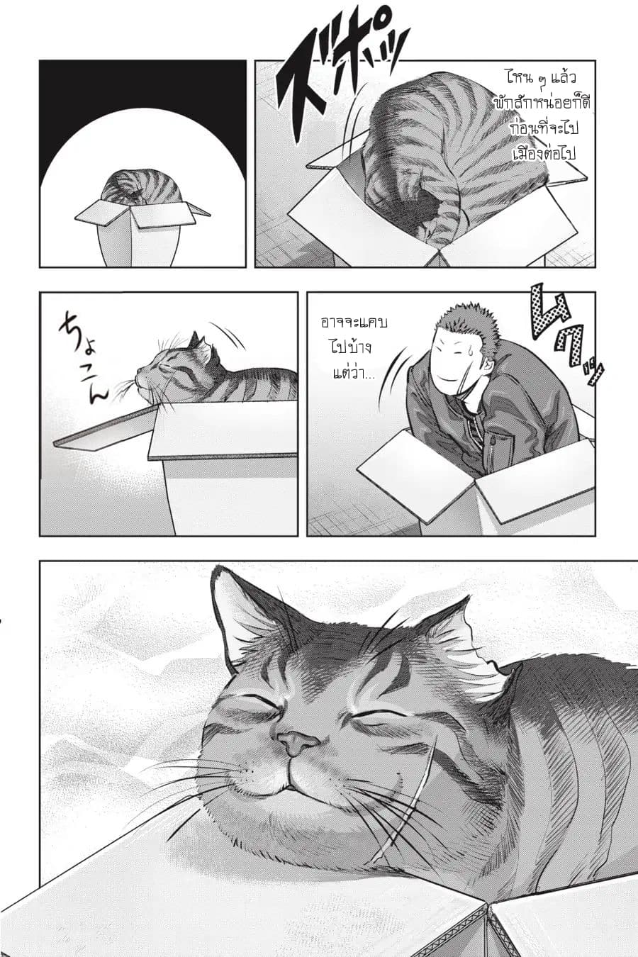 Nyankees 2-บอสแห่งเมืองเนโกะนากิ