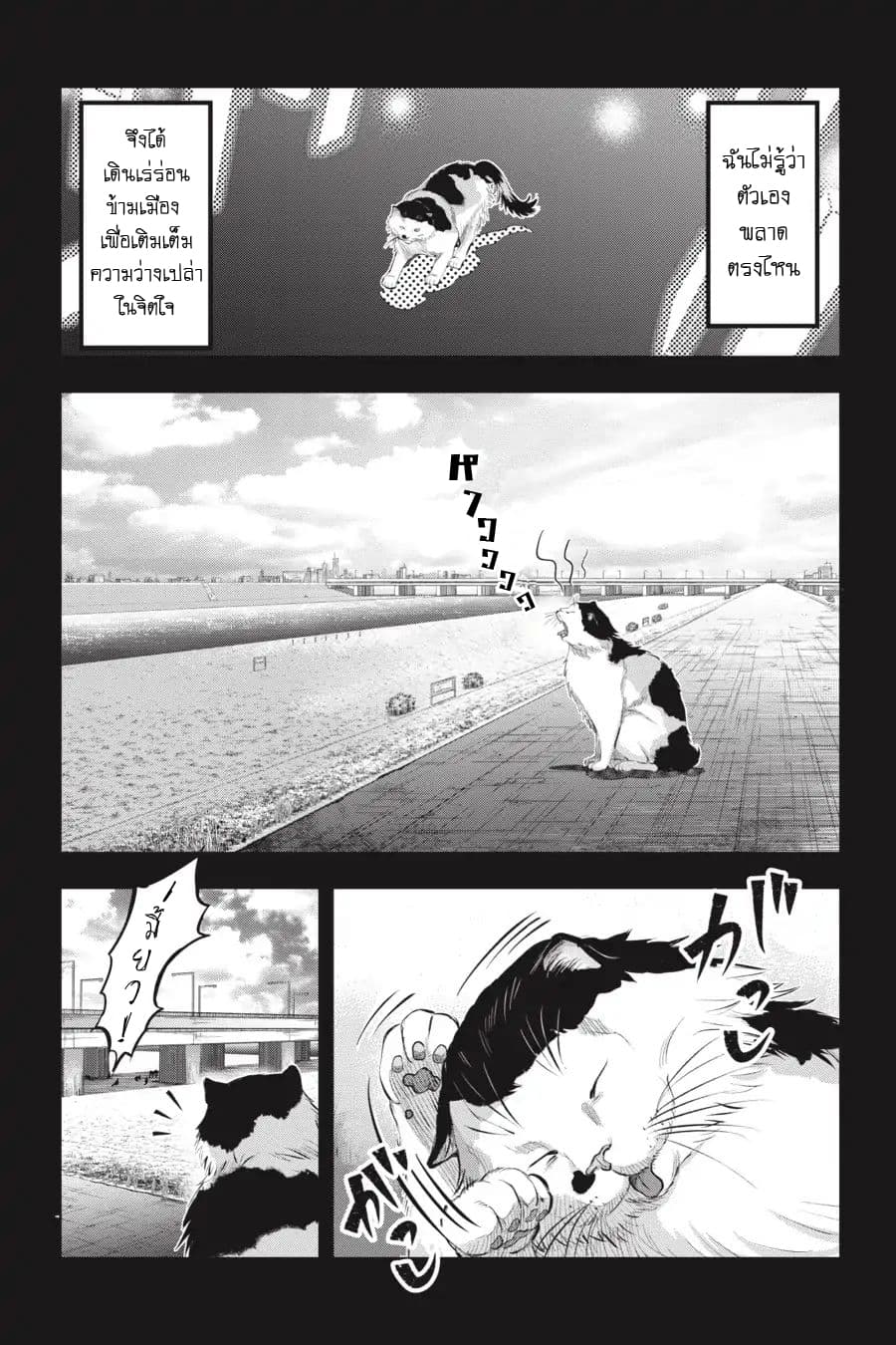 Nyankees 7-หญิงแกร่ง