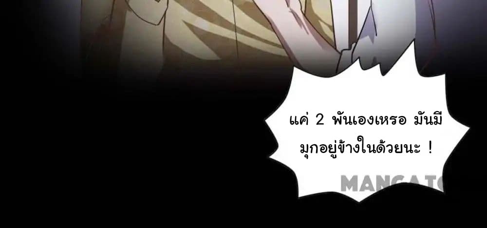 Almight Network 81-81