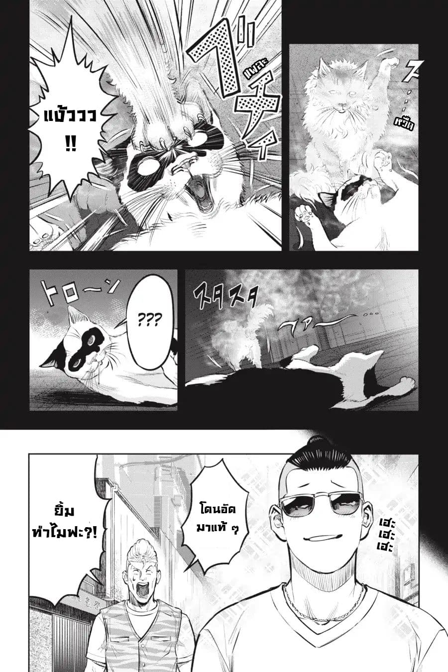 Nyankees 11-แมวน่าสงสัย