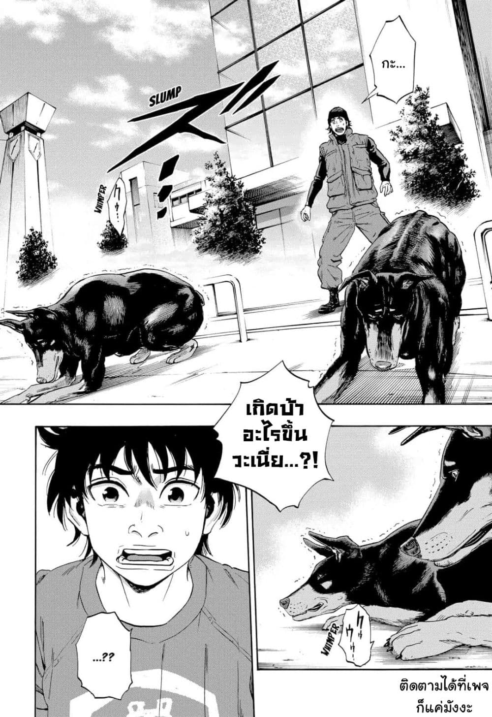 Arata Primal 1-1