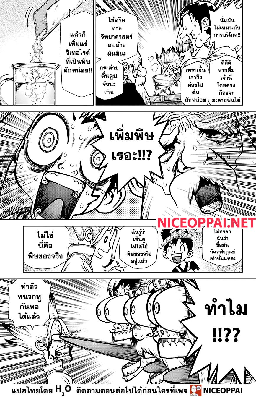 Dr.Stone 145-BAR FRANÇOIS