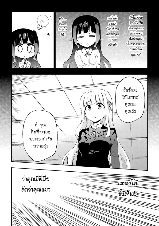 Urami Koi, Koi, Urami Koi 24-การประลองระหว่างวัวและแมว