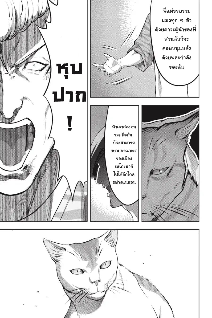 Nyankees 15-แมวสองพี่น้อง