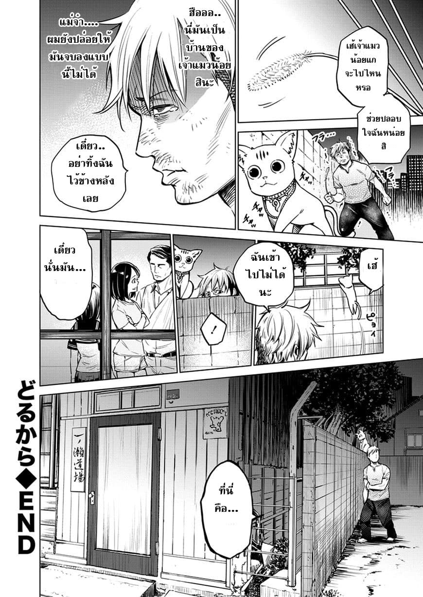 Dolkara 4-ความฝันของฉัน