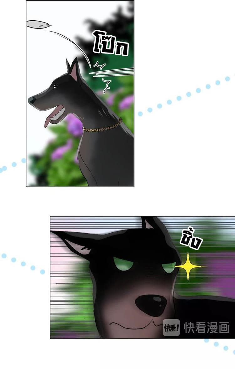 Unbending Flower 11-11