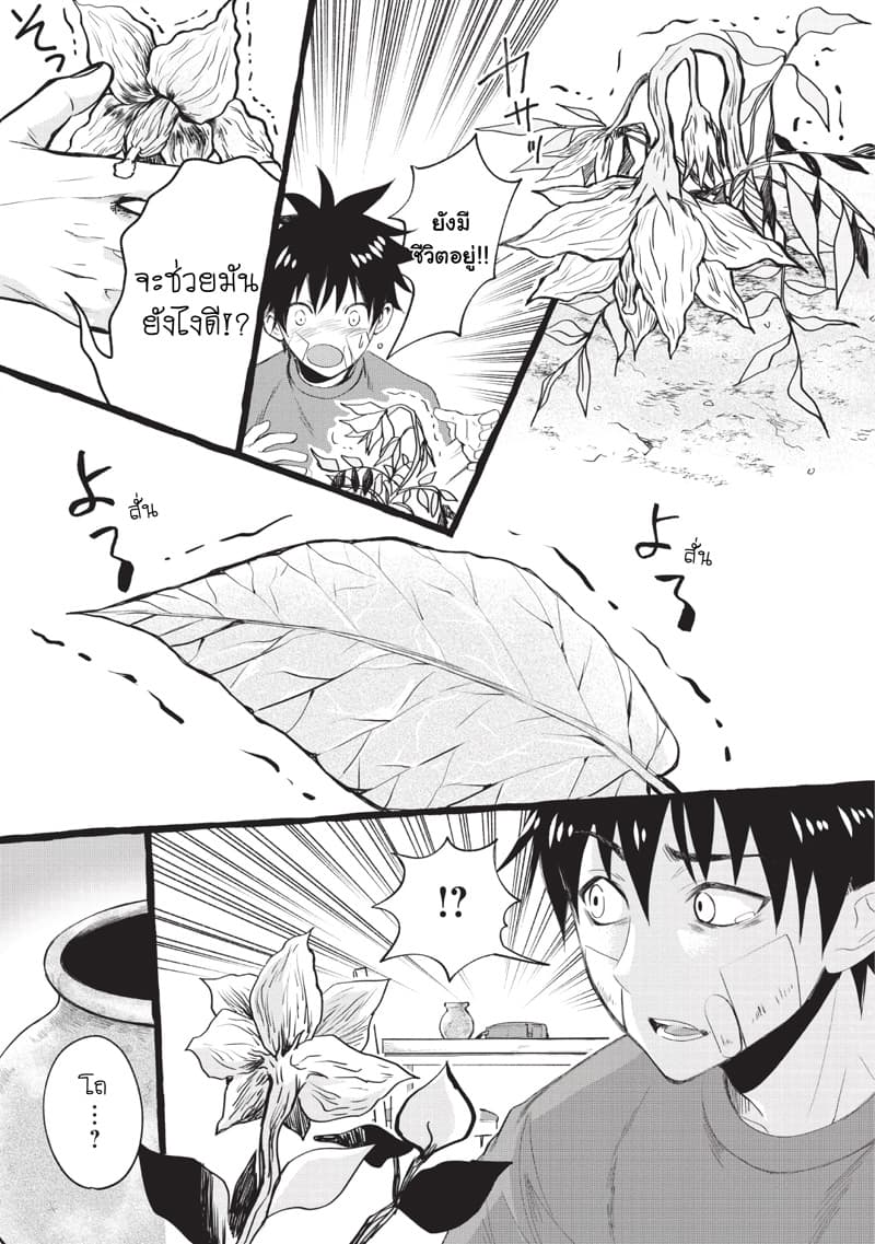 Boken-ka ni Narou! ~ Sukiruboodo de Danjon Kouryaku ~ 12-12