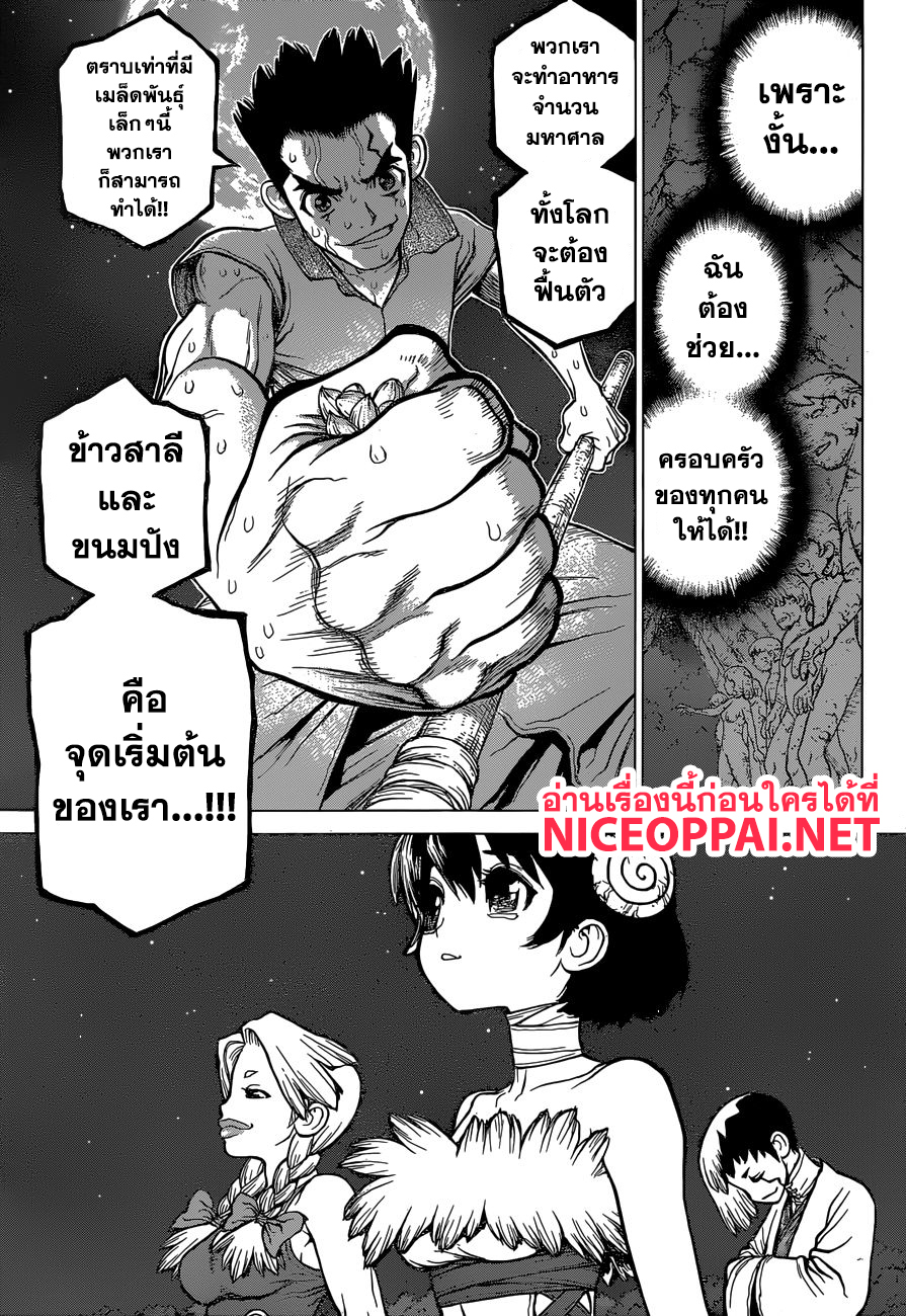 Dr.Stone 91-ถ้าไร้ซึ่งขนมปัง งั้นก็ทำมันจากข้าวสาลี