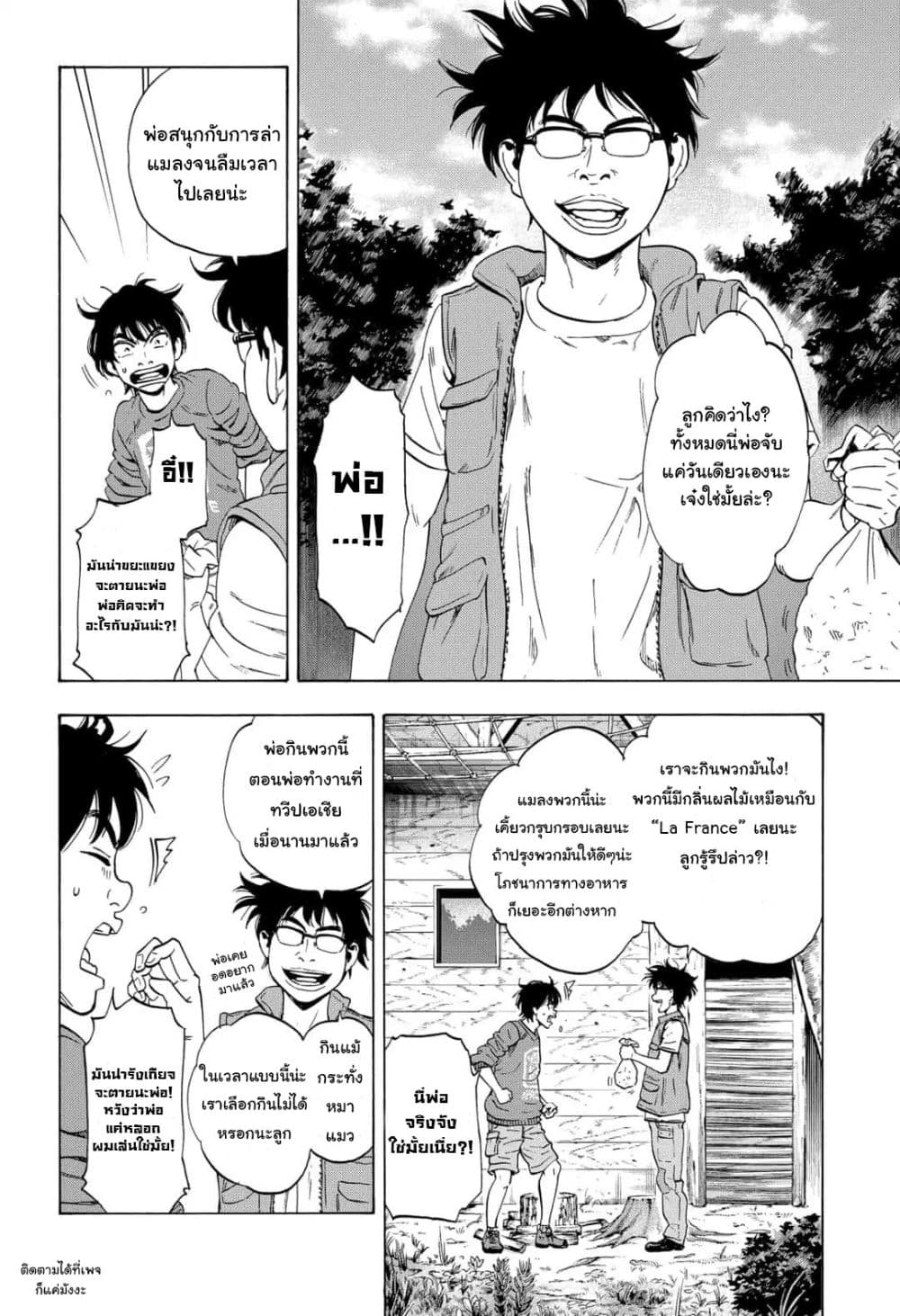 Arata Primal 1-1